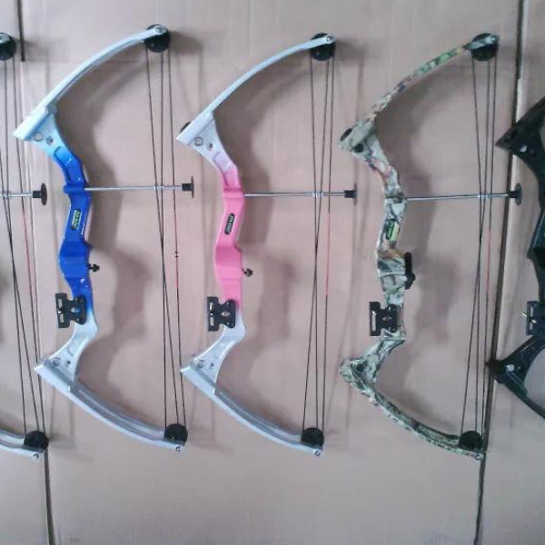 Junxing M110 Compound Bow DETAILS