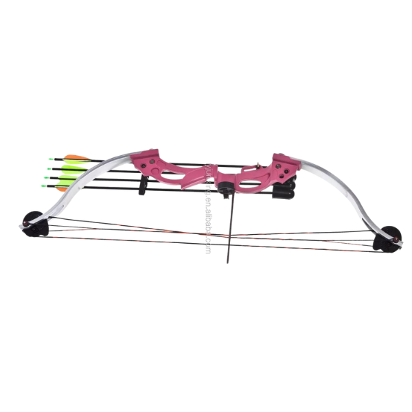 Junxing F118 Archery Compound Bow DETAILS