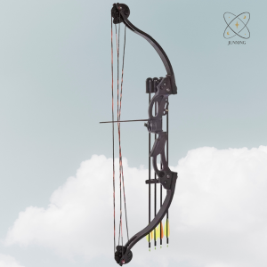 Junxing F118 Archery Compound Bow for Youth